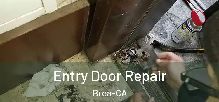 Entry Door Repair Brea-CA