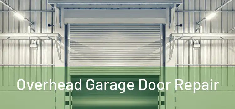  Overhead Garage Door Repair 